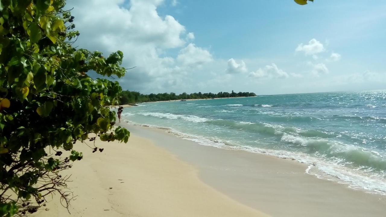 Maison Cecilia بورت لويس المظهر الخارجي الصورة